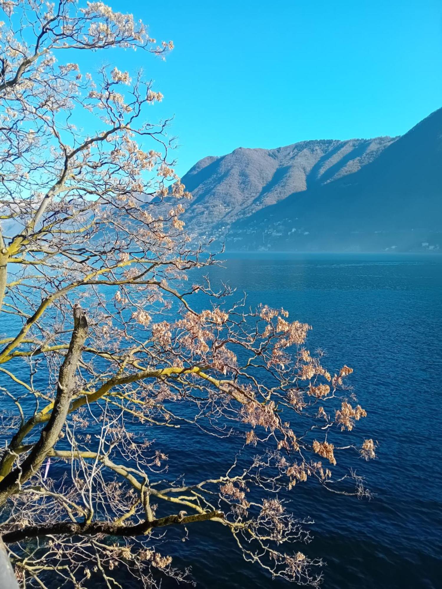 The Convo Lake Como Eksteriør billede